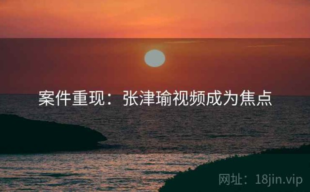 案件重现：张津瑜视频成为焦点