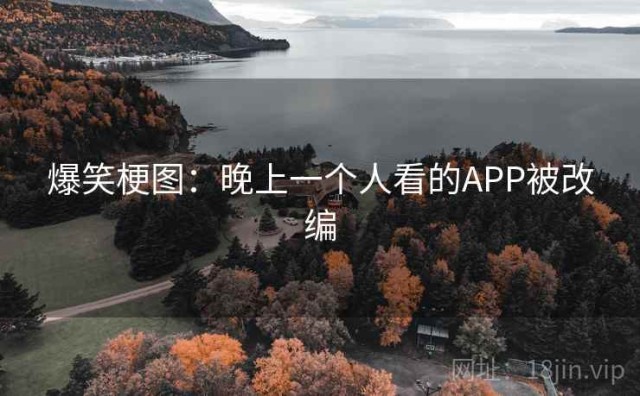 爆笑梗图：晚上一个人看的APP被改编