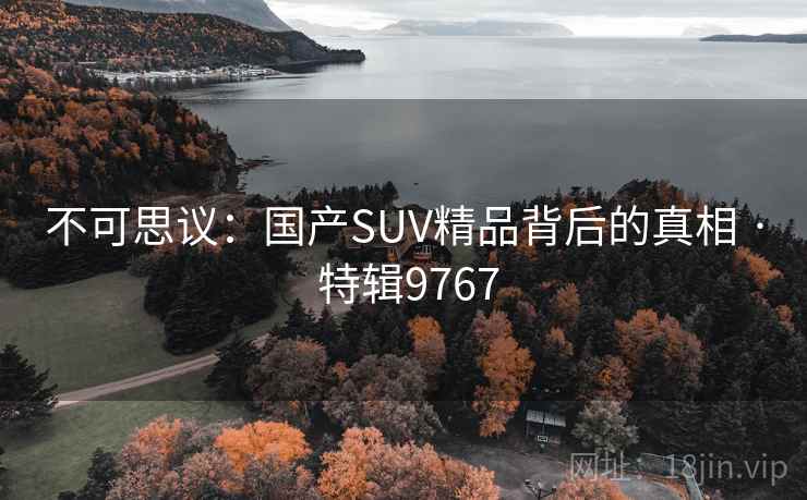 不可思议：国产SUV精品背后的真相 · 特辑9767