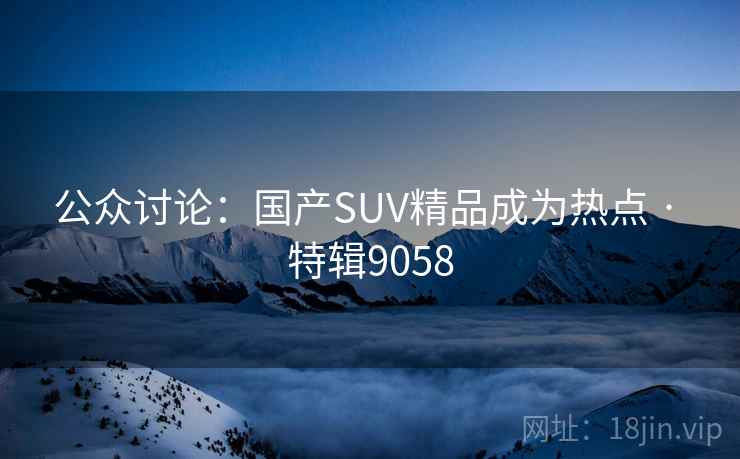公众讨论：国产SUV精品成为热点 · 特辑9058